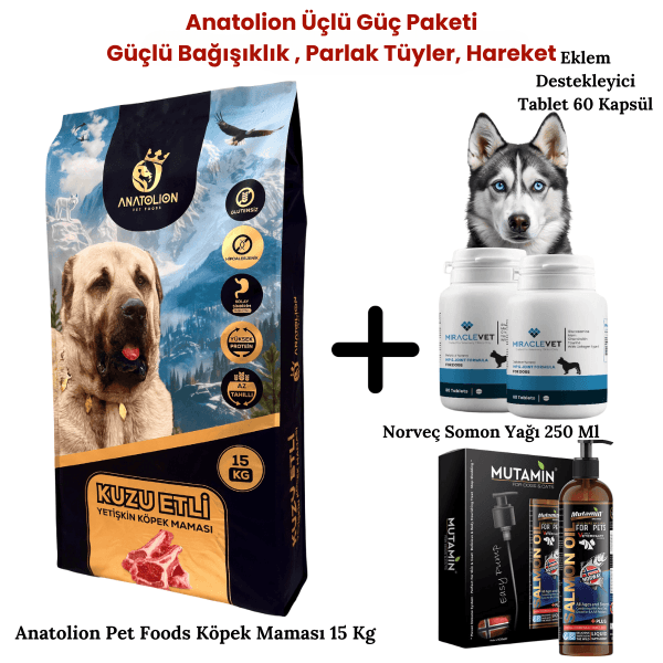 Anatolion Üçlü Güç Paketi