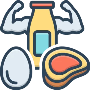 Hayvansal proteinli köpek mamaları - Anatolion Pet Foods