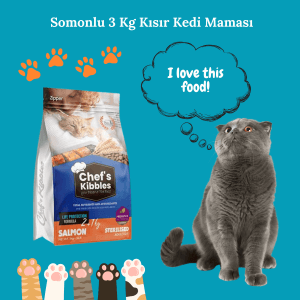 Somonlu Kısır Yetişkin Kedi Maması 3 Kg