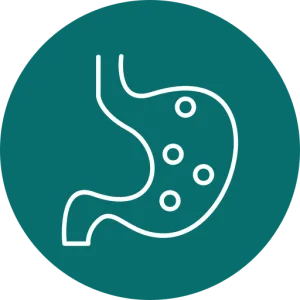 Prebiyotikli köpek mamaları - Anatolion Pet Foods