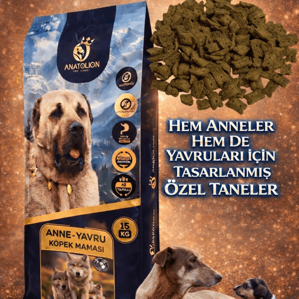 490AB68C-0CE0-4282-B404-416B6DA44762