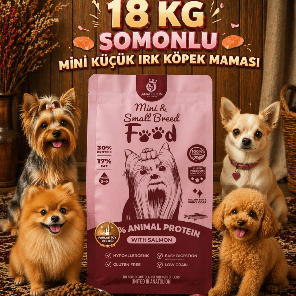 Anatolion Mini Küçük Irk Somonlu Eklem Destekli Super Premium Köpek Maması 18 Kg (6x3)