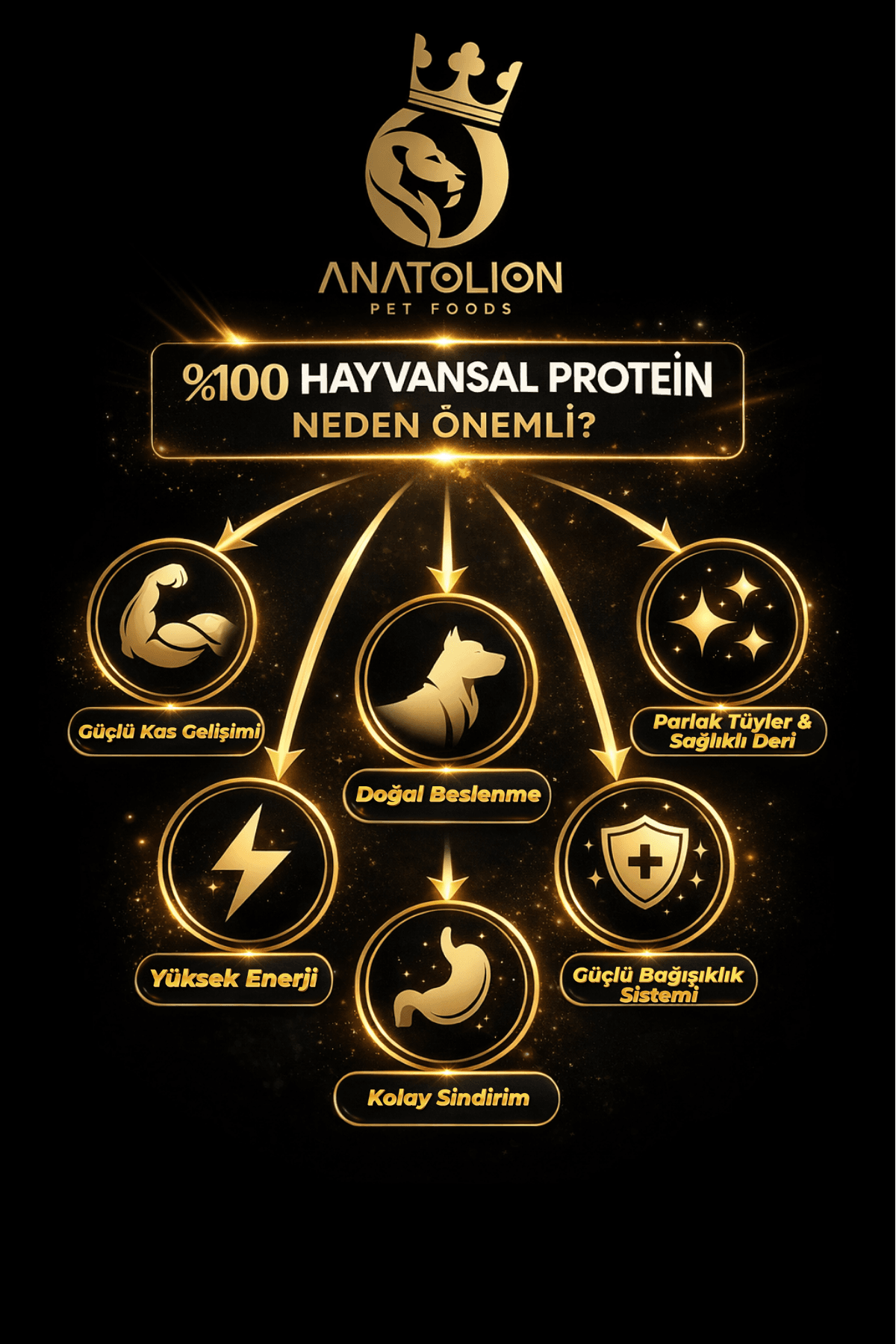Anatolion Somonlu Premium Yetişkin Köpek Maması 3 Kg - Görsel 4
