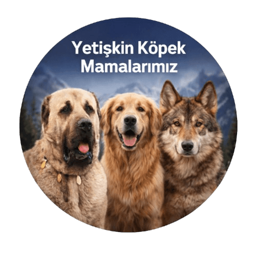 Anatolion Yetişkin Köpek Mamaları