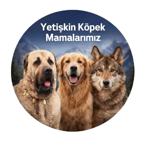 Anatolion Yetişkin Köpek Mamaları