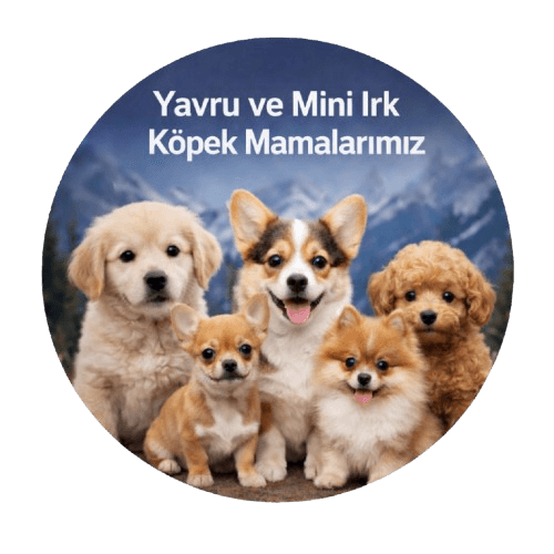 Anatolion Yavru ve Mini Irk Köpek Mamaları