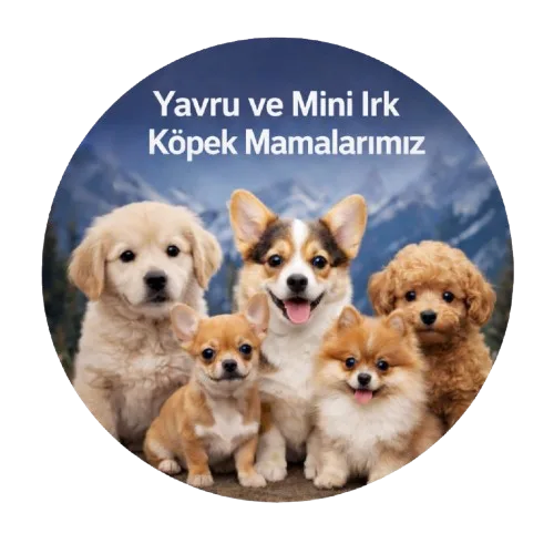 Anatolion Yavru ve Mini Irk Köpek Mamaları