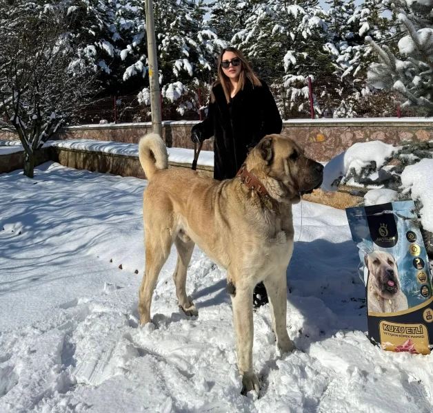 ofis2 Anatolion Pet Foods ve Tulga